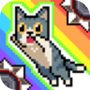 猫咪跳跃