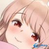 特殊的要求1.3