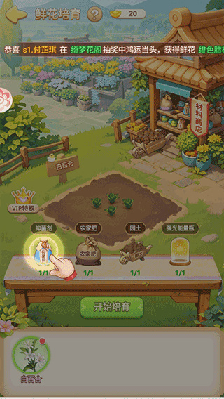 我的花园世界截图3