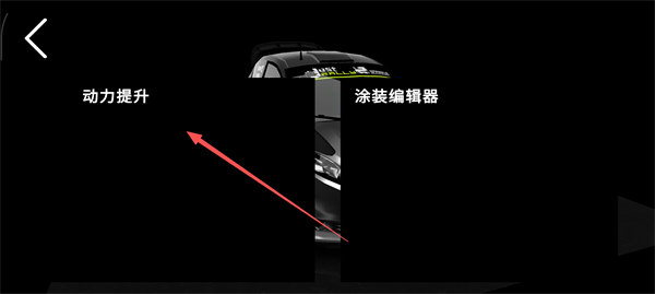 终极拉力赛3截图1
