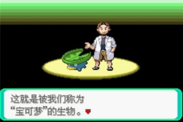 口袋妖怪漆黑的魅影截图4