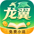 龙翼小说