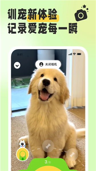 尾巴纪元截图4