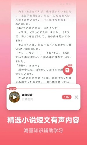 莱特日语截图2