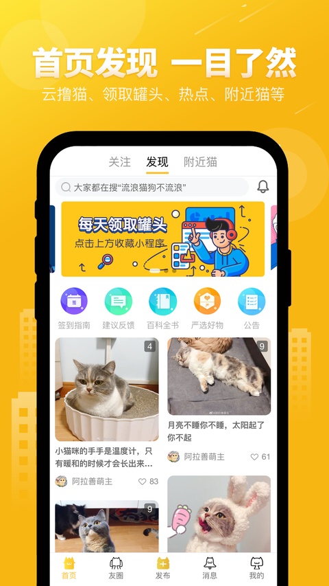 友猫截图1