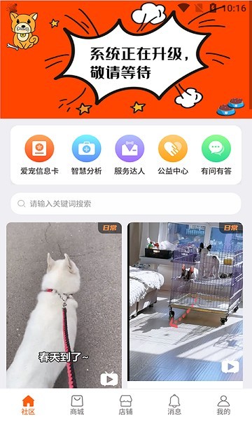 世纪天宠截图2