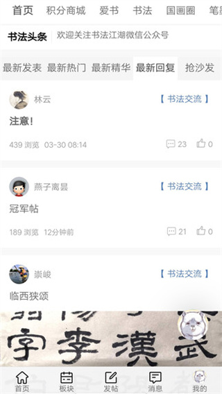 书法江湖截图2